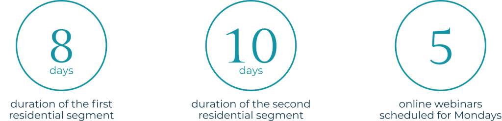 | Group 497 1 | Hakomi Mallorca